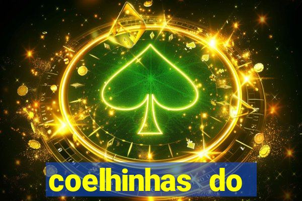 coelhinhas do brasil jp